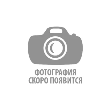 Сборный букет с амариллисом и сиренью от интернет-магазина цветов в 