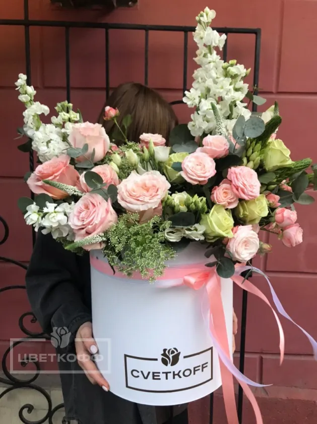 Сборный бокс гигант