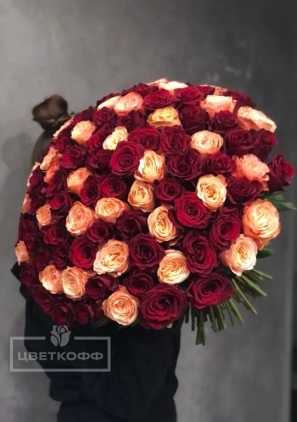 Букет из 101 красно-кремовой розы