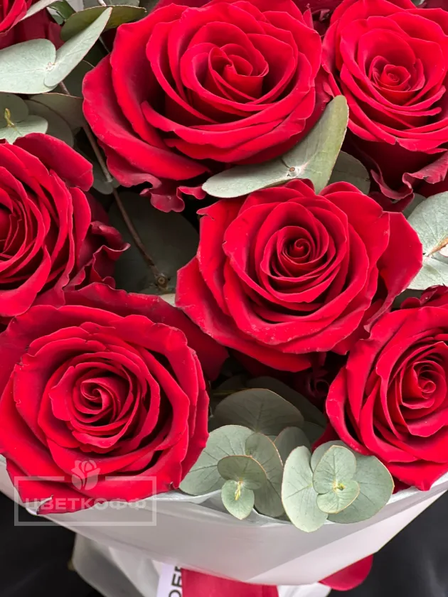 11 красных роз с эвкалиптом