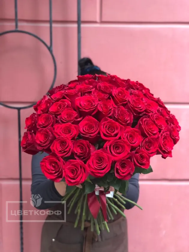 51 красная эквадорская роза под ленту