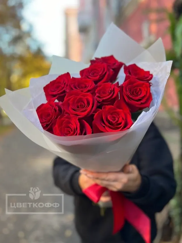 11 красных роз в упаковке