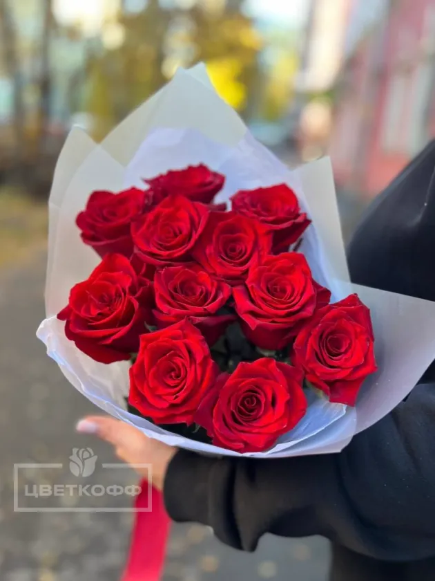 11 красных роз в упаковке