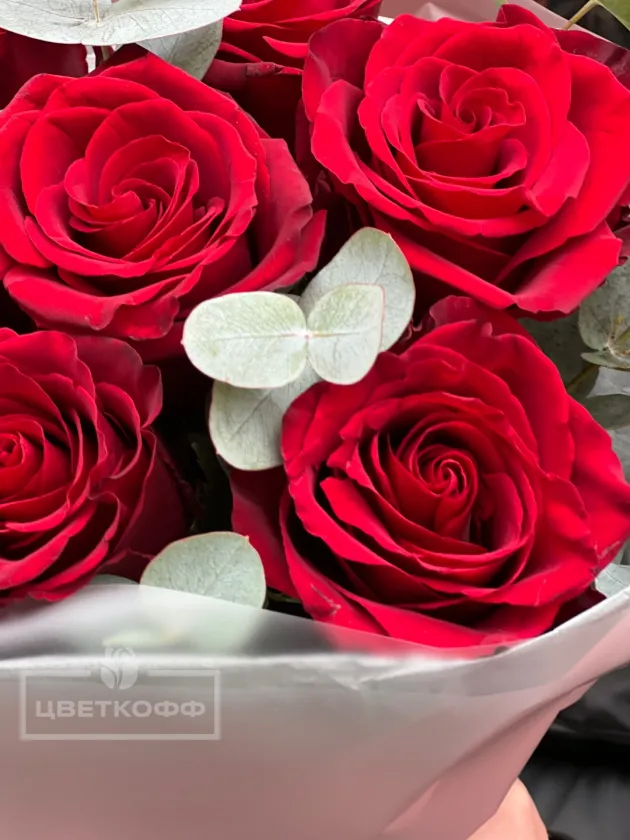 Букет из 7 красных роз с эвкалиптом