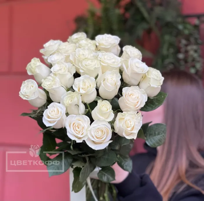 25 белых эквадорских роз