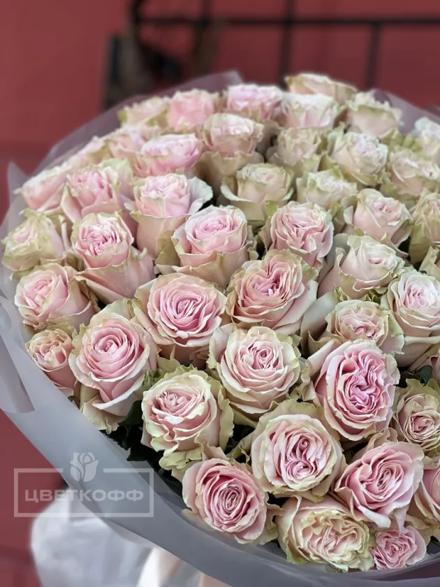 Букет из 51 розы «Пинк Мондиаль»