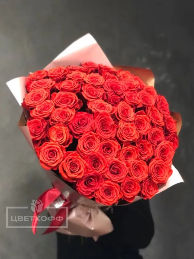 51 роза сорта «Нина»