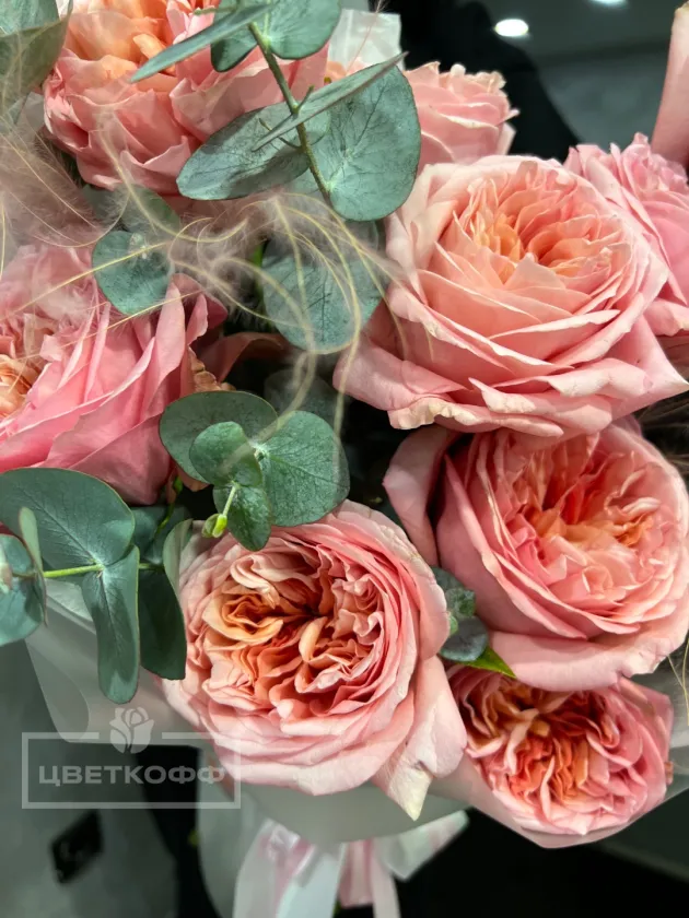 Монобукет из 11 «Пинк экспрешн»