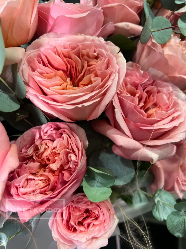 Монобукет из 15 «Пинк экспрешн»