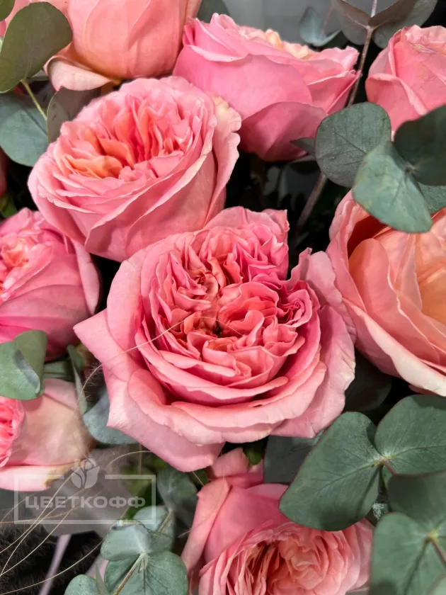 Монобукет из 15 «Пинк экспрешн»