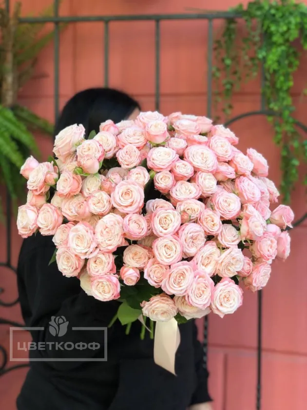 25 кустовых пионовидных роз «Мадам бомбастик»