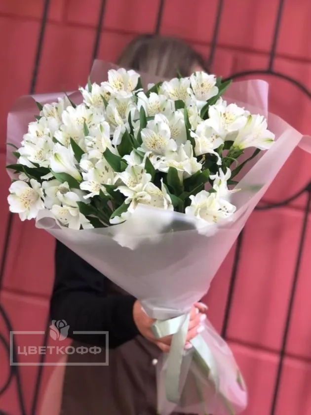 Моно букет  из 11 белых альстромерий