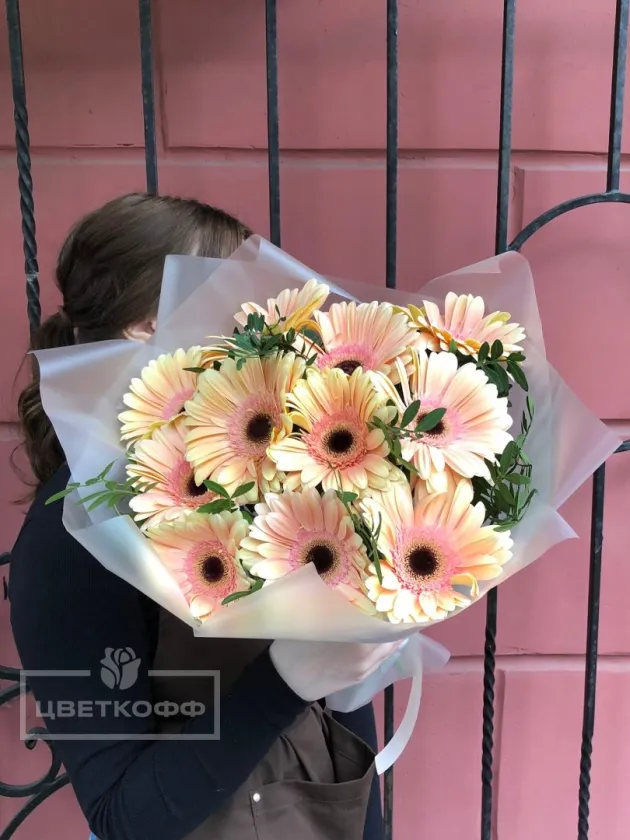 Букет из 11 гербер кремовых