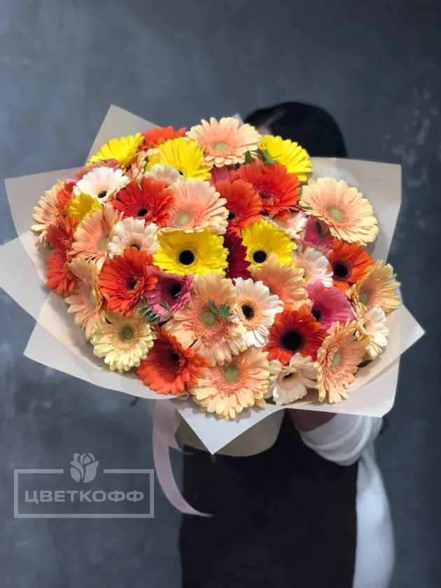 Букет из 35 разноцветных гербер