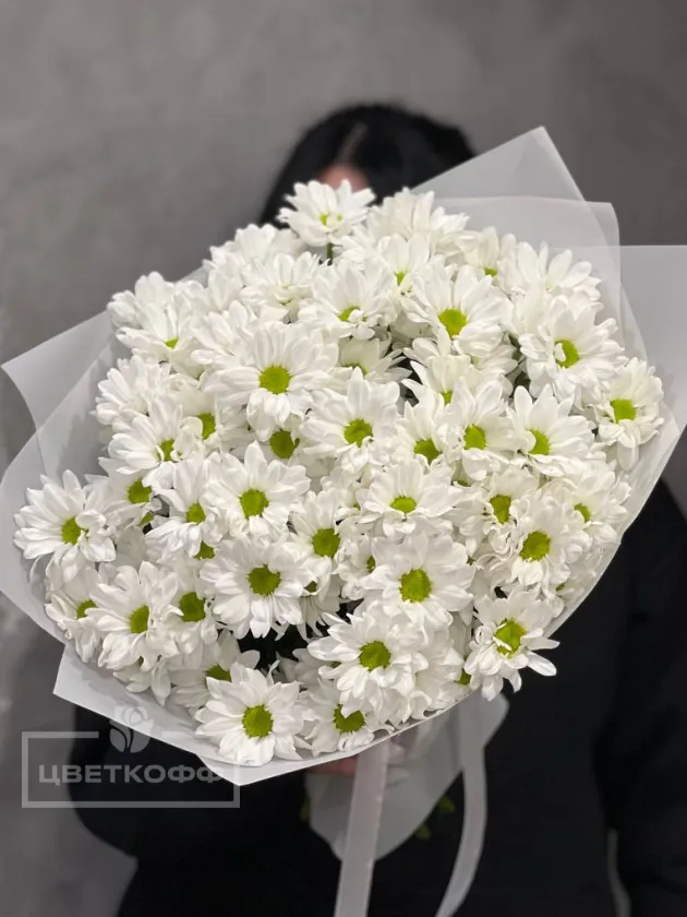 Монобукет из 11 белых хризантем