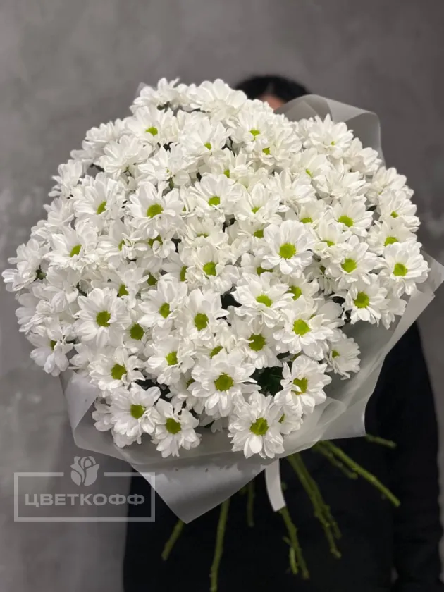 Монобукет из 15 белых хризантем