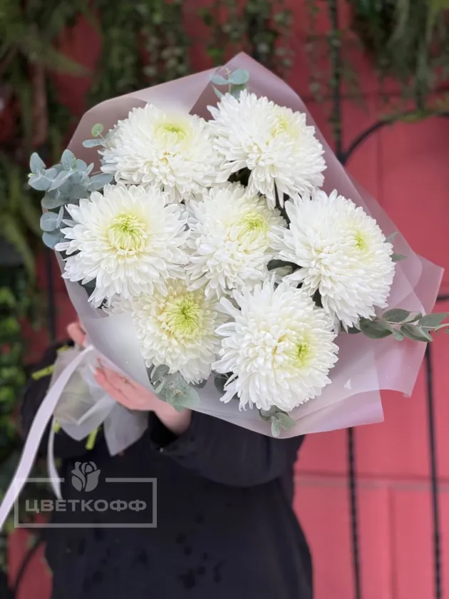 Монобукет из 7 сортовых хризантем