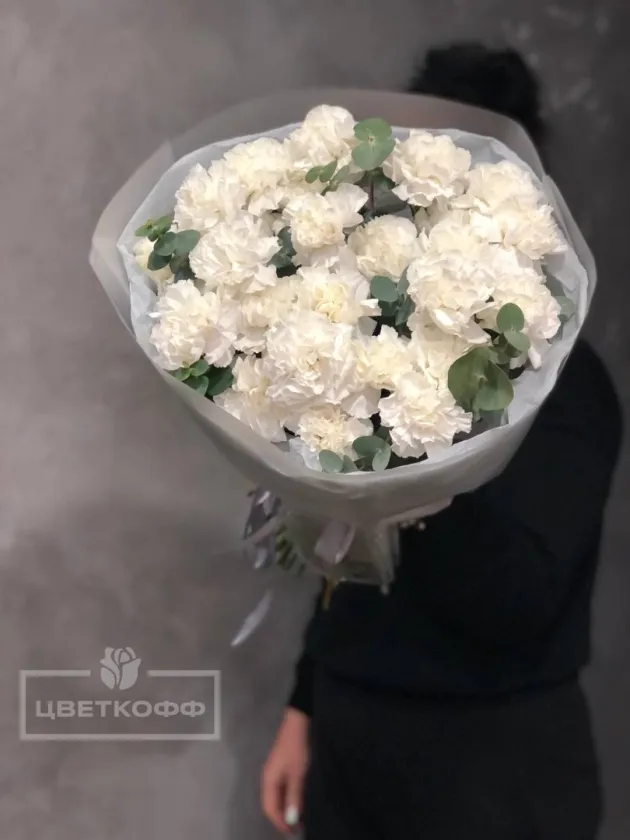 Белоснежное облако из диантусов