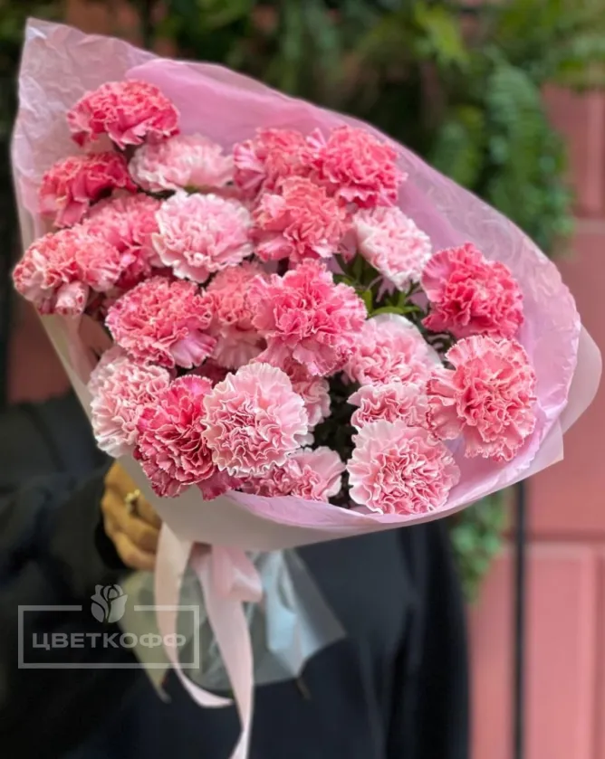 Букет из 25 розовых диантусов