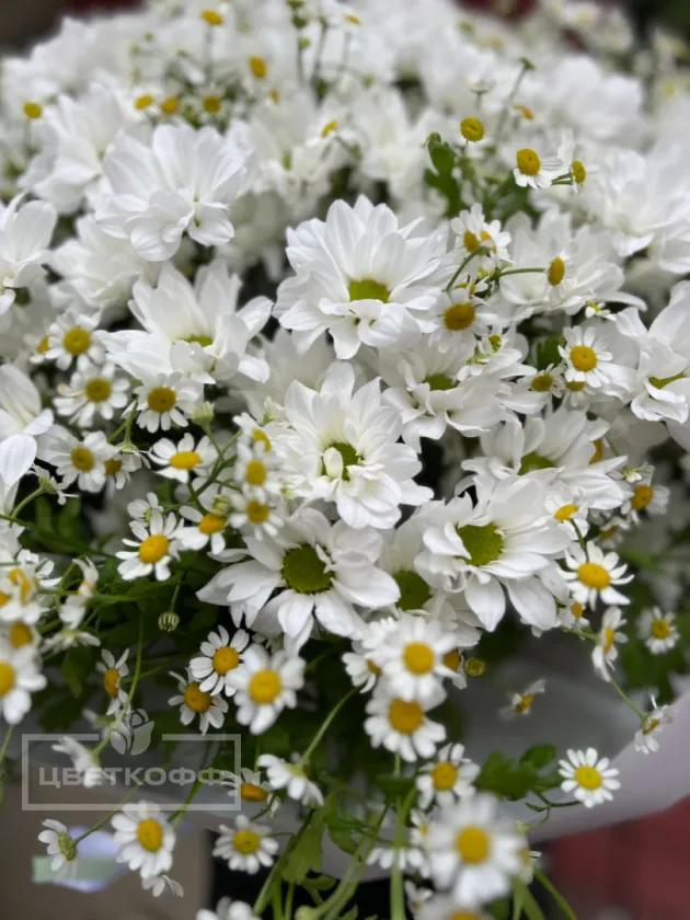 Букет гигант «ромашковый микс»
