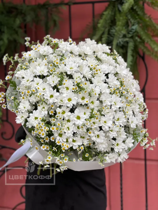 Букет гигант «ромашковый микс»