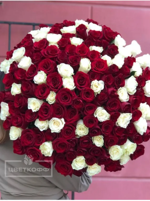 Букет из 151 красно-белой розы