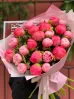 25 пионов микс