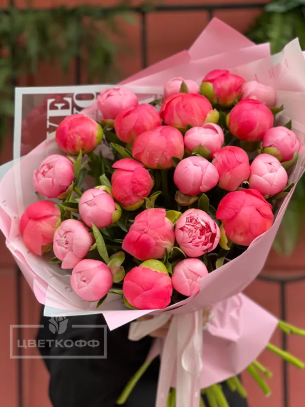25 пионов микс