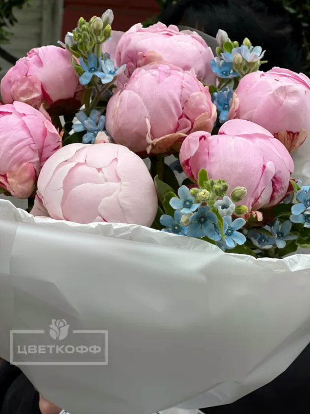 Букет с пионами и незабудками