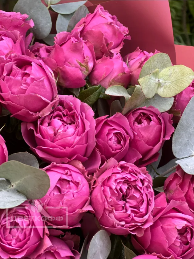 Букет из 7 пионовидных роз «Мисти баблс»