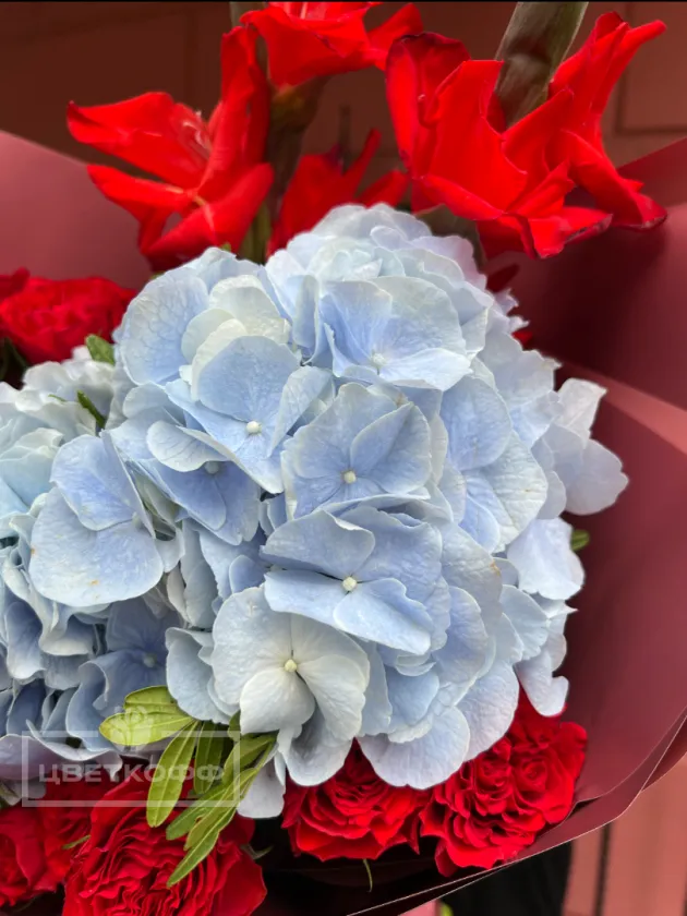 Сборный букет  с гортензией и гладиолусами «6644»