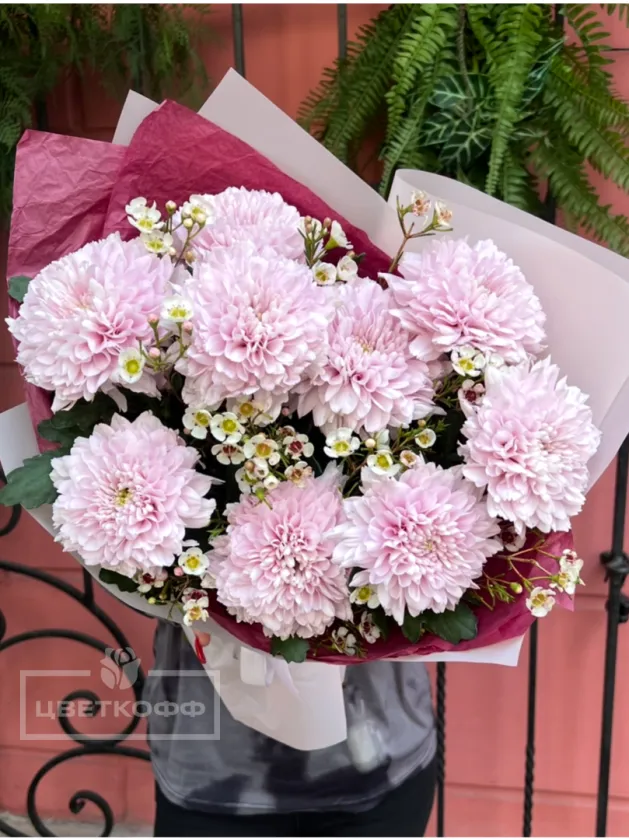 Монобукет из 9 пудровых хризантем