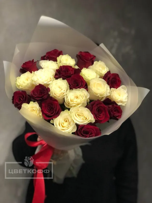 Букет из 25 красно-белых эквадорских роз