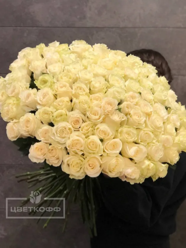 101 белая эквадорская роза