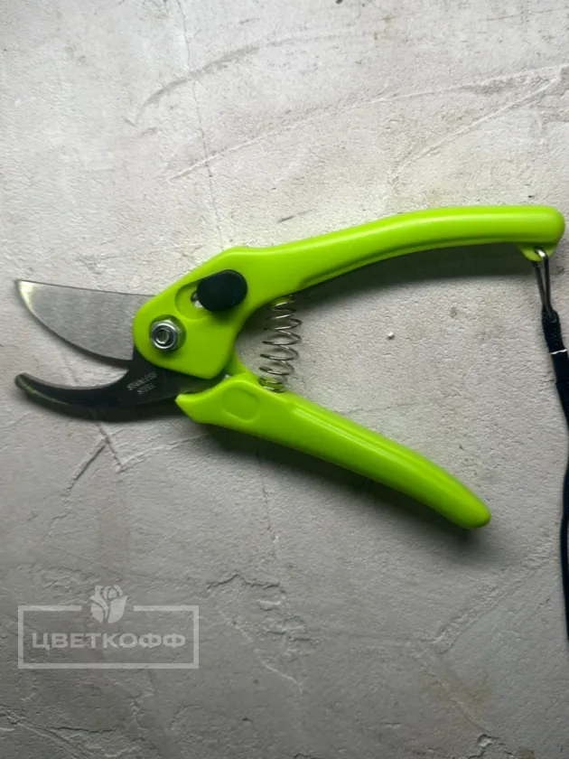 Секатор для цветов