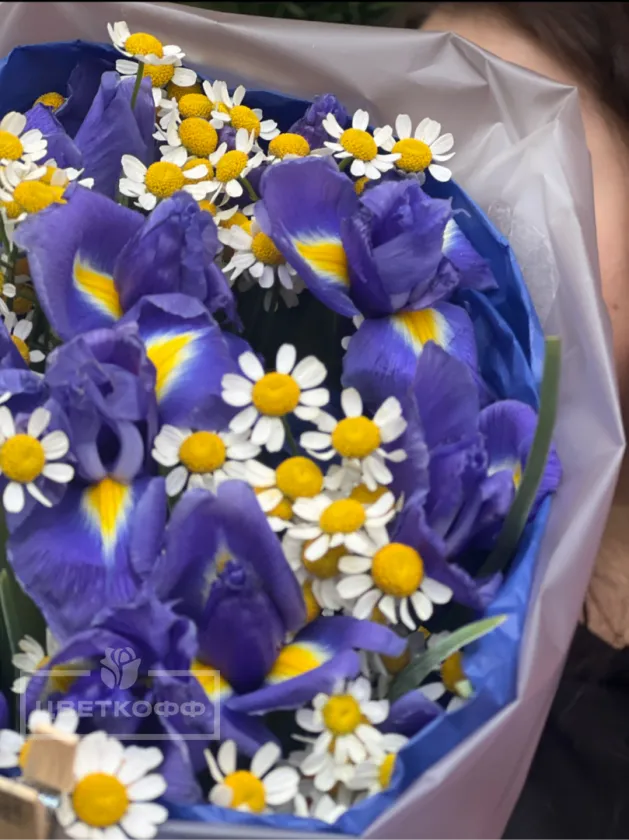 Микс ирисы и мини ромашка