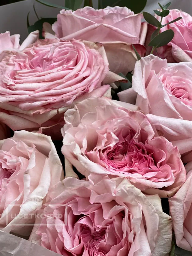 Монобукет из 11 пионовидных роз «Пинк охара»