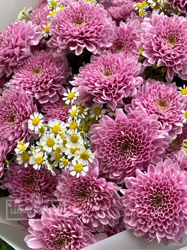 Монобукет из сортовых кустовых хризантем