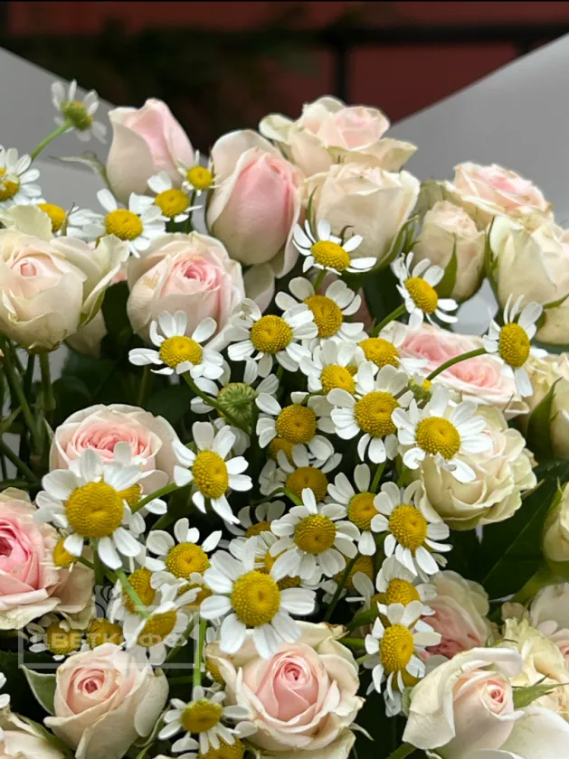 Монобукет с кустовой розой и ромашкой