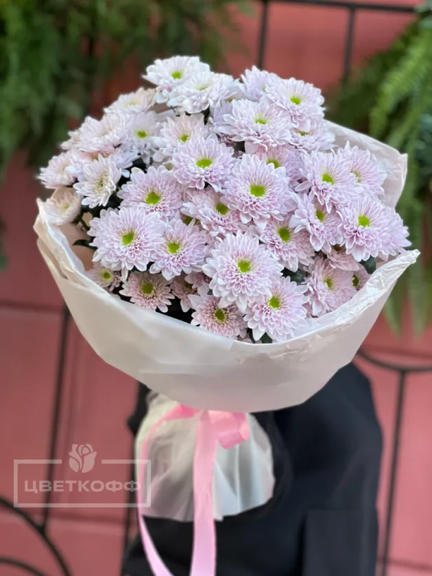 Монобукет из 7 розовых хризантем