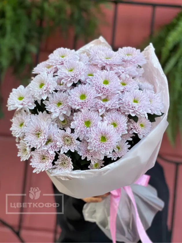 Монобукет из 7 розовых хризантем