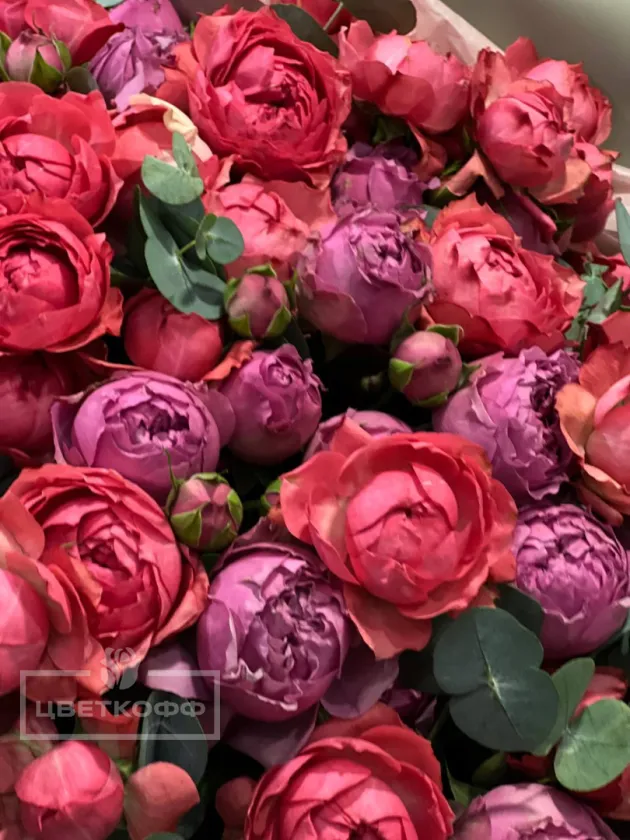 Микс из пионовидных кустовых роз с эвкалиптом