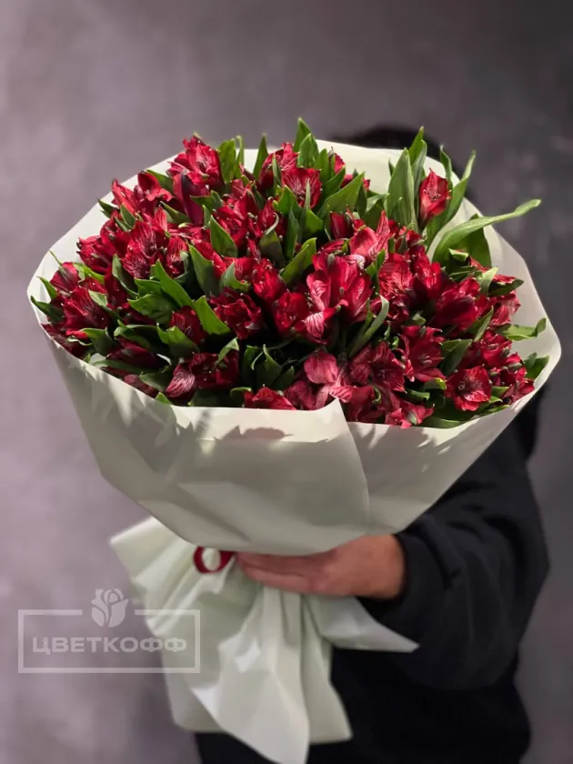 Моно букет из 19 красных альстромерий