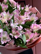 Моно букет из 15 розовых альстромерий