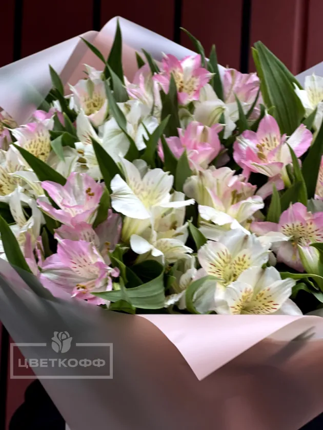 Моно букет микс из 15 бело-розовых альстромерий