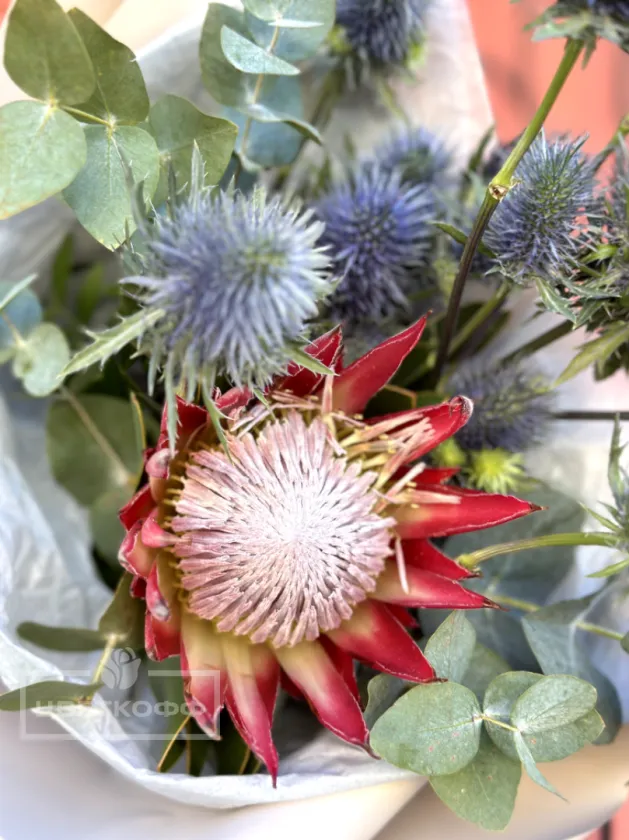 Сборной букет с протеей