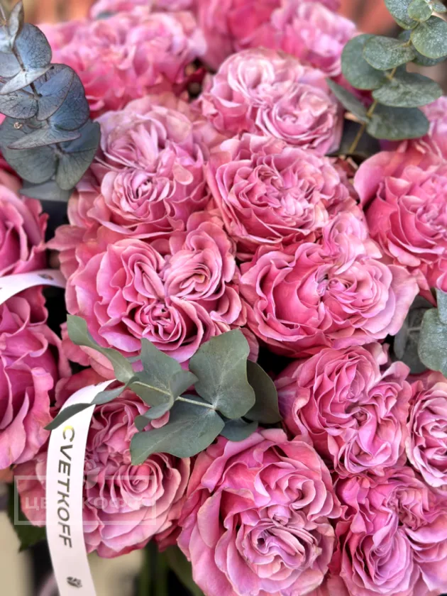 Моно букет из 25 пионовидных  роз сорта «Квинс краун»