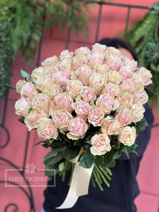 51 эквадорская роза «пинк мондиаль »