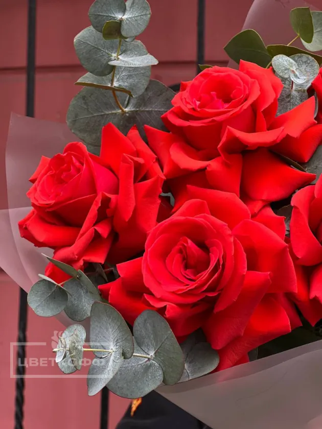 Моно букет из 7 французских роз с эвкалиптом