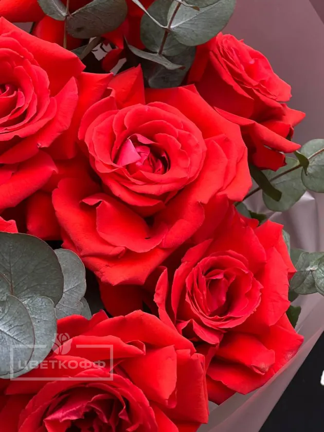 Моно букет из 5 французских роз